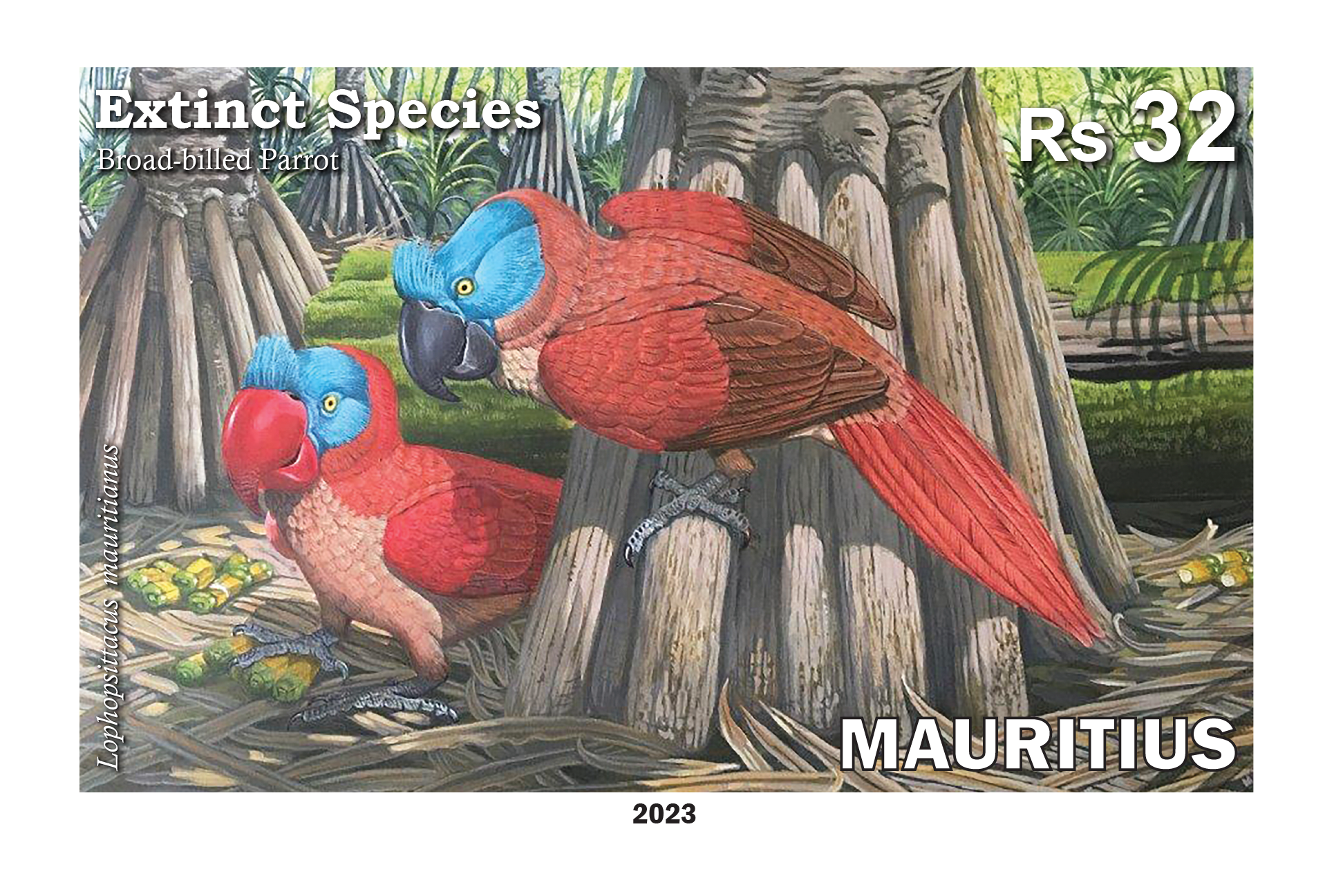 Broad-billed Parrot Lophopsittacus mauritianus - Two panes of 25