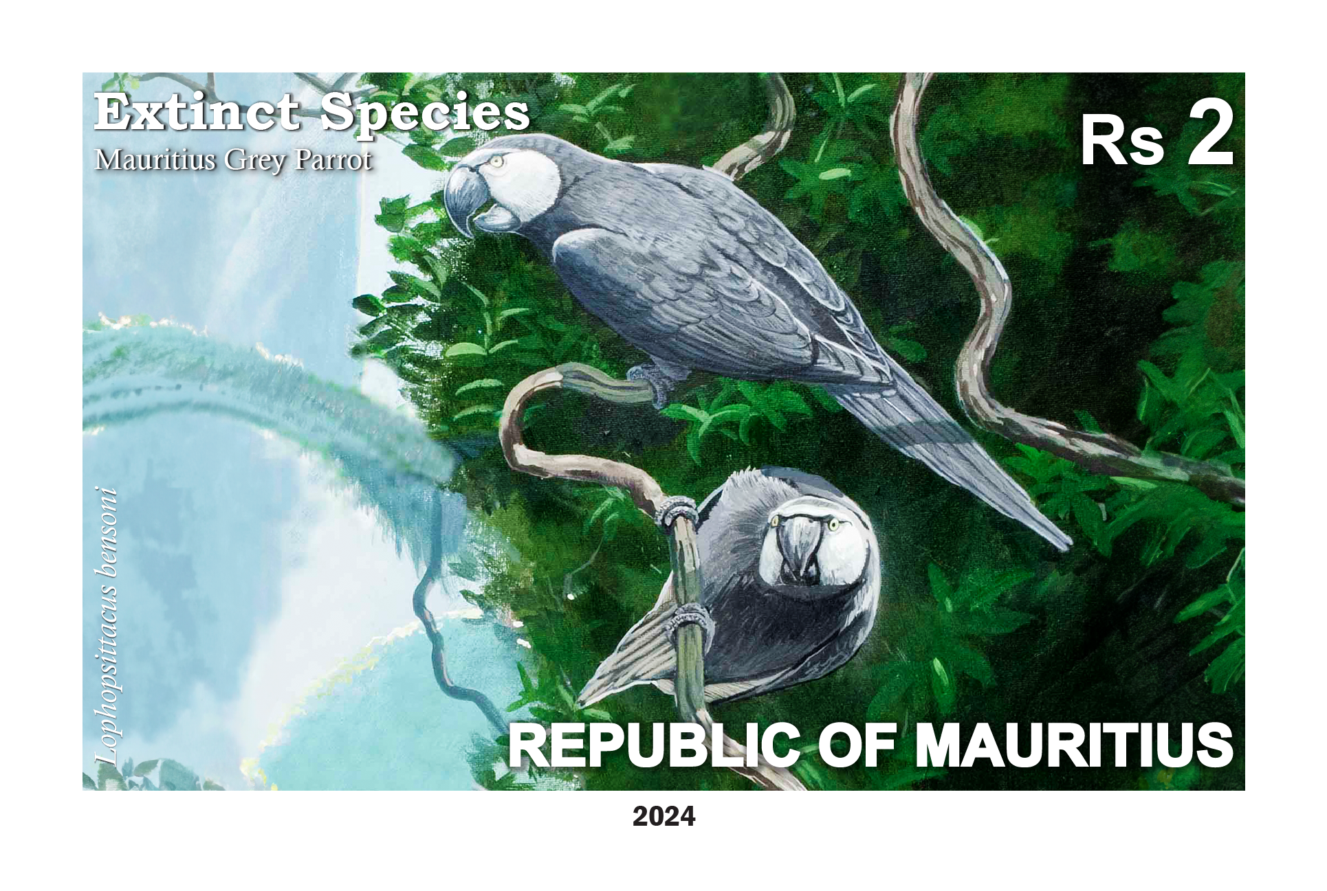 Mauritius Grey Parrot Lophopsittacus bensoni - Two panes of 25