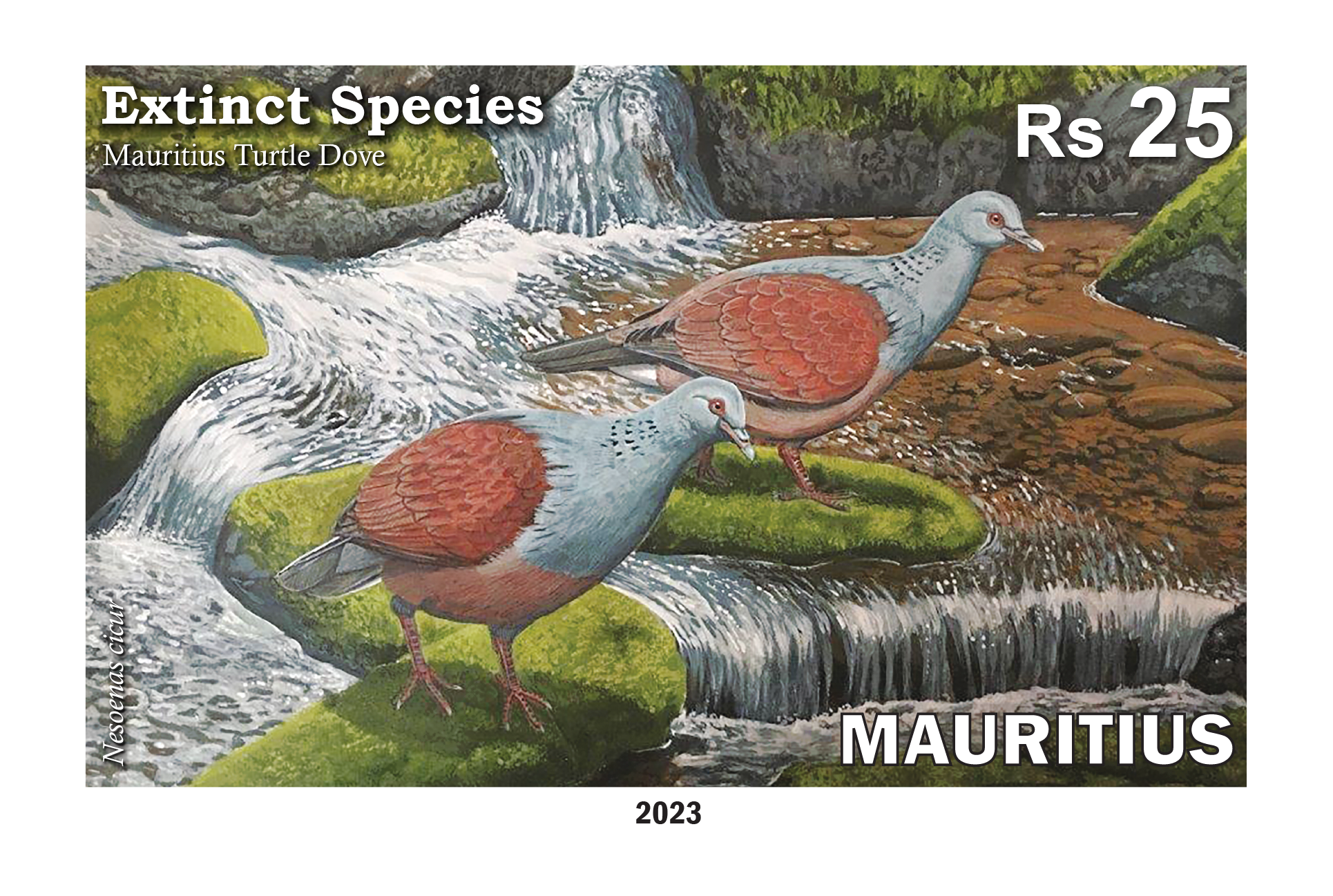Mauritius Turtle Dove Nesoenas cicur - Two panes of 25