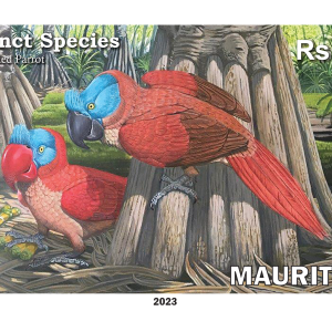 Broad-billed Parrot Lophopsittacus mauritianus - Two panes of 25