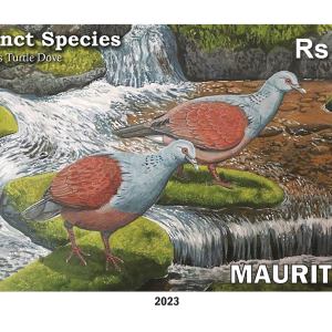 Mauritius Turtle Dove Nesoenas cicur - Two panes of 25