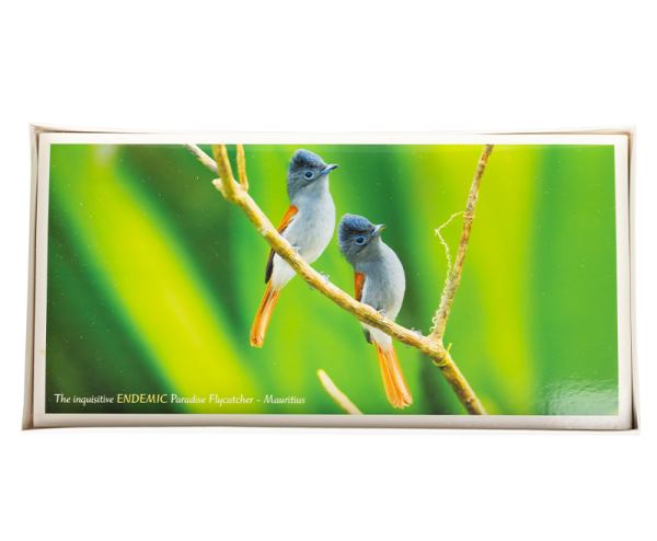 11 Endemic Birds and Bats of Mauritius and Rodriguese - large - Image 2