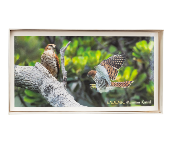 11 Endemic Birds & Bats of Mauritius and Rodriguese - small - Image 2